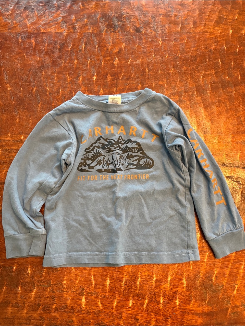 Carhartt Light Blue Long-Sleeve Graphic Tee with Orange Logo